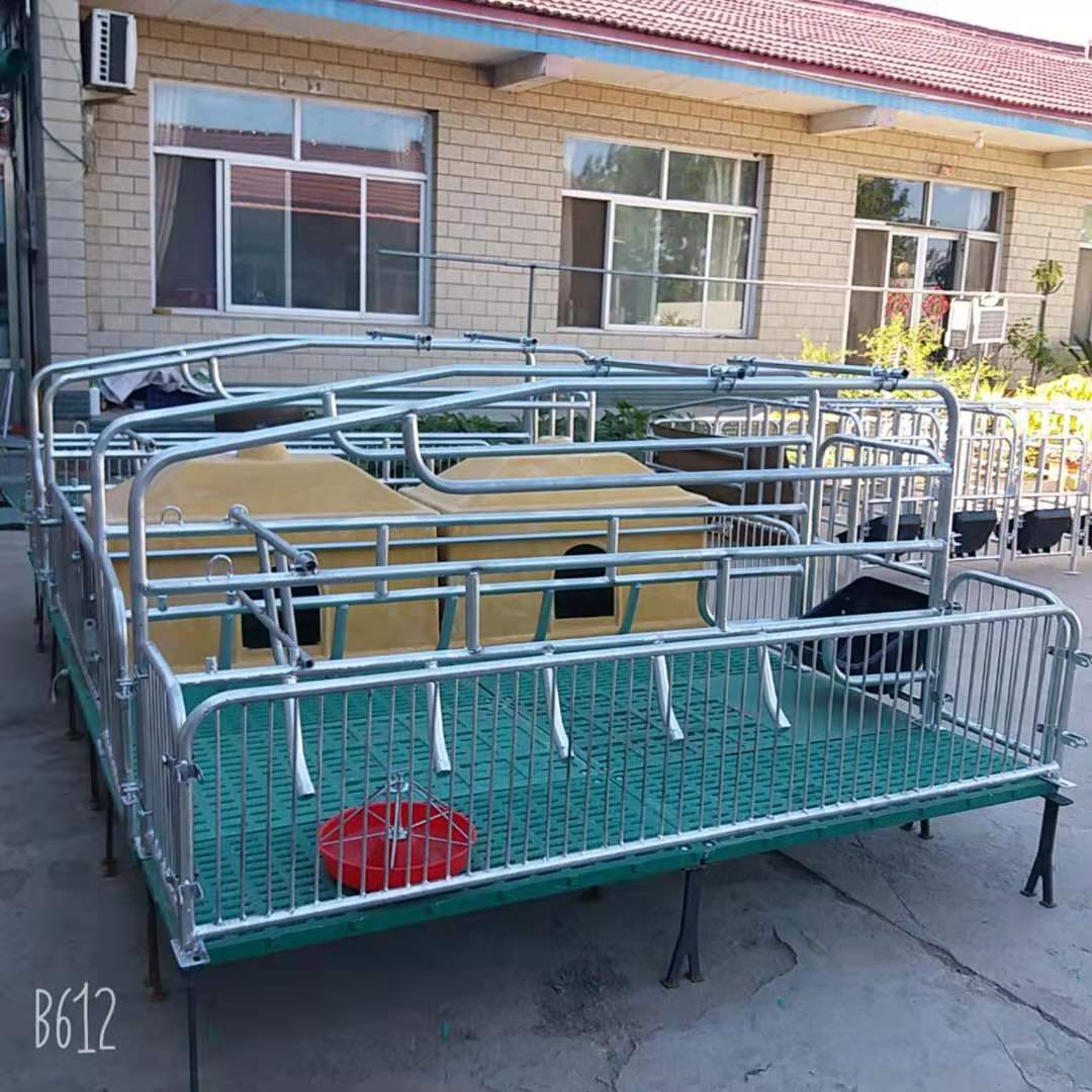 现货批发 双体保育床 母猪产保两用床产 分娩床漏粪板定位栏保育床