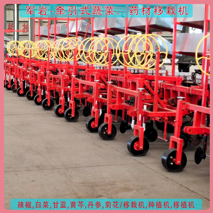 白术移栽机 省时省力 青州移植机 移栽机批发