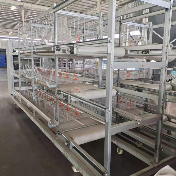 富博供应全自动清粪框架鸡笼 全自动清粪框架鸡笼厂家 量大价优