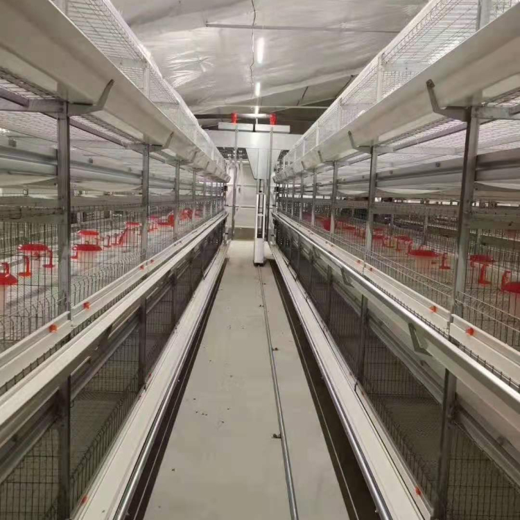 框架鸭笼供应商 厂家出售框架鸭笼 欢迎来电