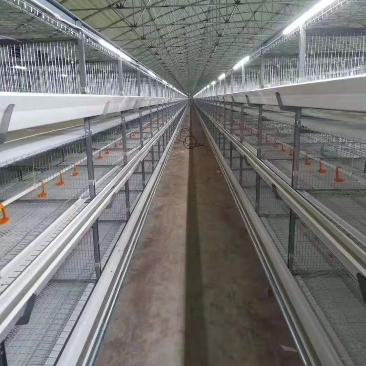 肉鸡笼批发 富博晟业肉鸡笼 欢迎来电