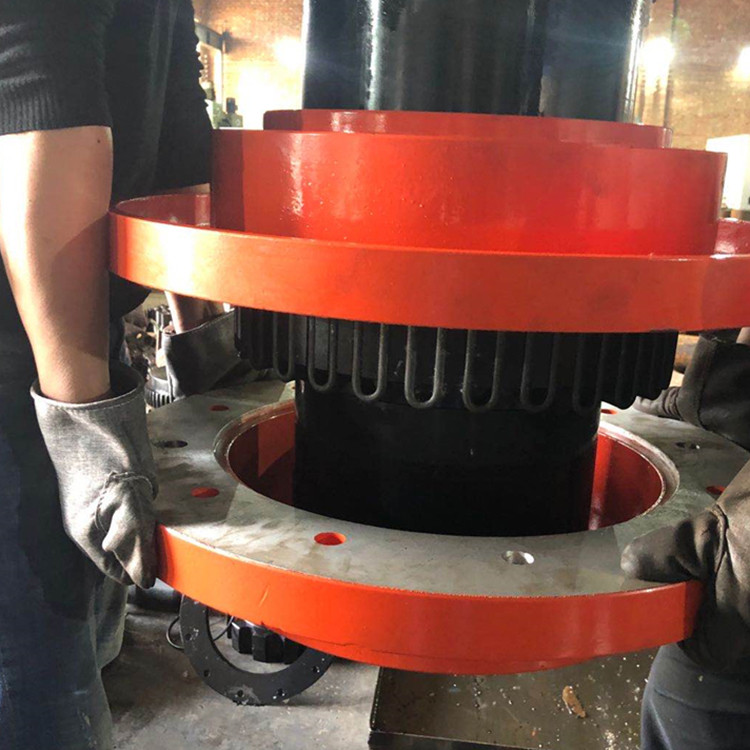 蛇形弹簧联轴器 蛇形弹性联轴器 承泰联轴器 电机用联轴器 来电订购