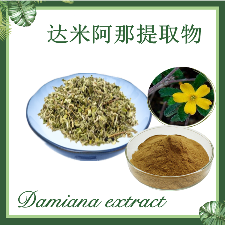 达米阿那提取物10:1 达米阿纳提取物  现货供应