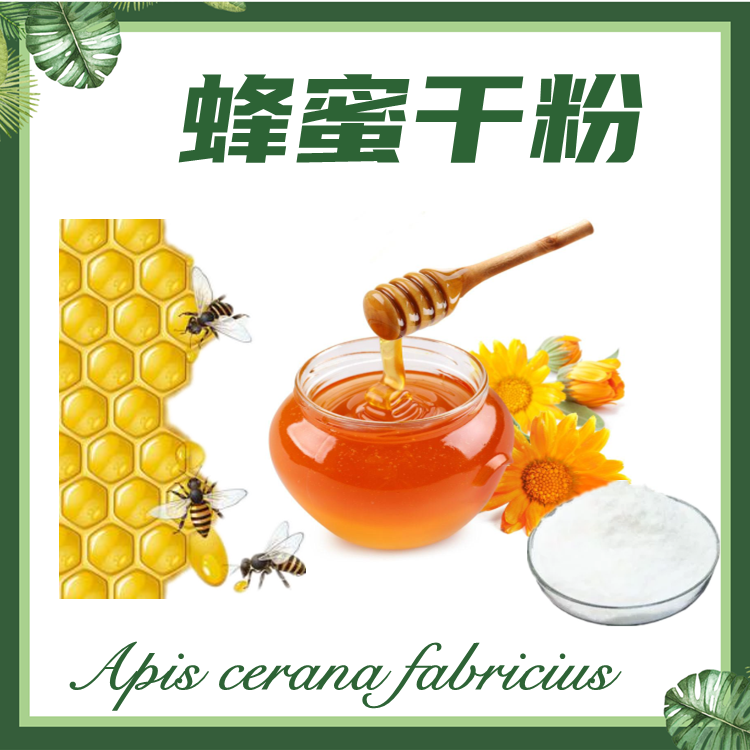 蜂蜜干粉  喷雾干燥  蜂蜜粉 现货供应