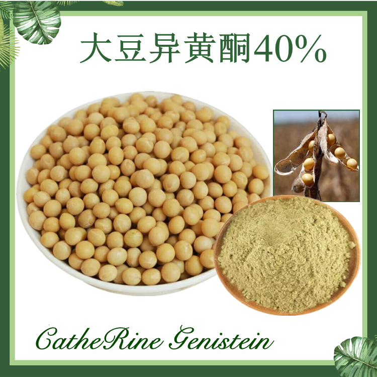 现货供应 大豆异黄酮40% CAS#574-12-9 大豆胚芽提取物
