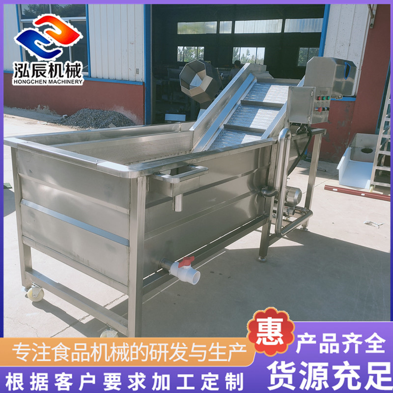 供应果蔬气泡清洗机 杨梅气泡清洗机 毛豆清洗设备流水线 厂家定制