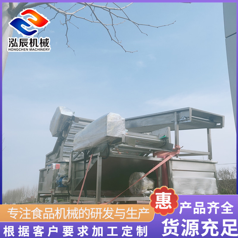 全自动气泡翻浪清洗机 油麦菜喷淋气泡清洗机 果蔬清洗机 净菜加工设备