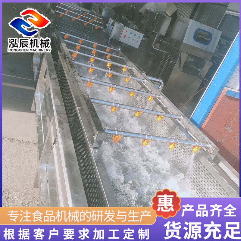 定制不锈钢气泡清洗机 佛手瓜气泡清洗机 清洗沥水风干流水线 泓辰制造