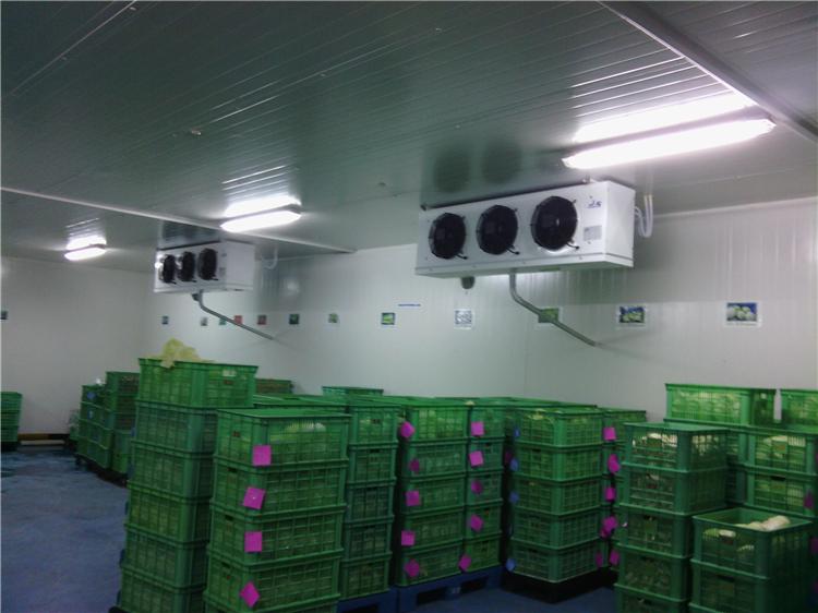 陕西新冷源供应安装冷库工程  节能水果保鲜冷库 品质经营 值得信赖