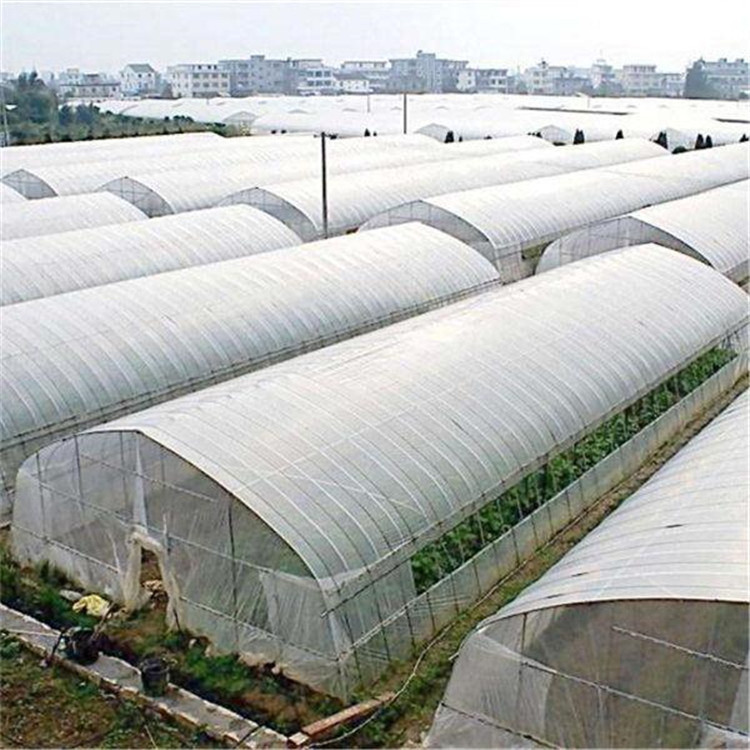 薄膜温室公司 山东薄膜温室预算 薄膜温室大棚 钢结构