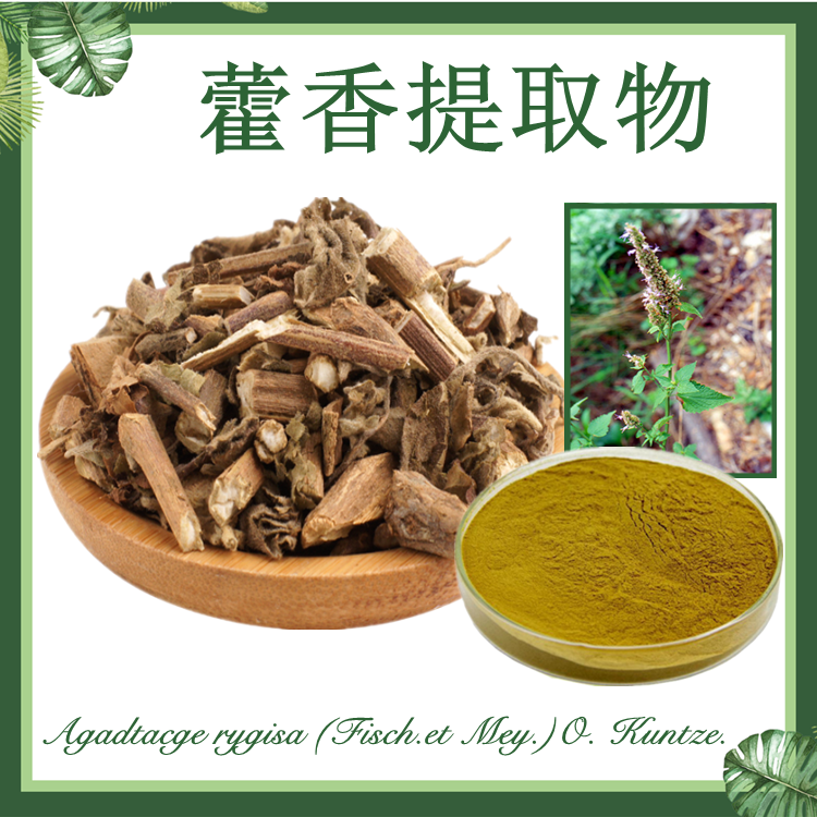 藿香提取物 10：1  大叶薄荷提取物  排香草提取物