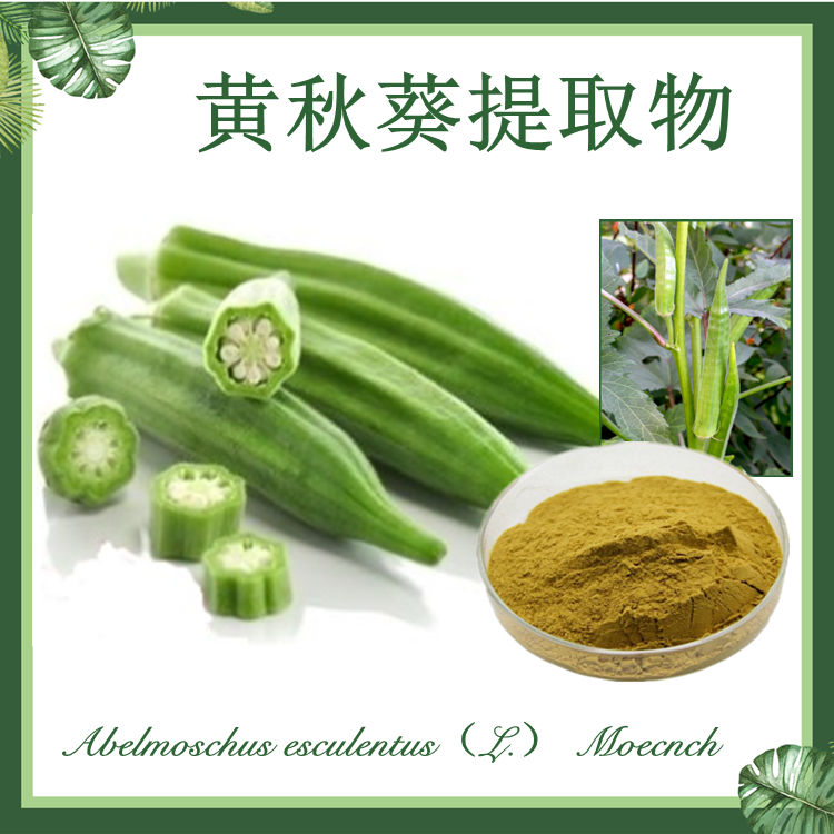 黄秋葵提取物 10:1 秋葵提取物 羊豆角提取物 黄秋葵黄酮