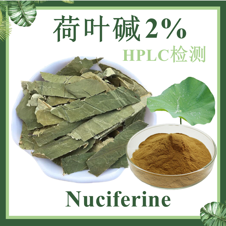 荷叶碱2% HPLC检测  荷叶提取物