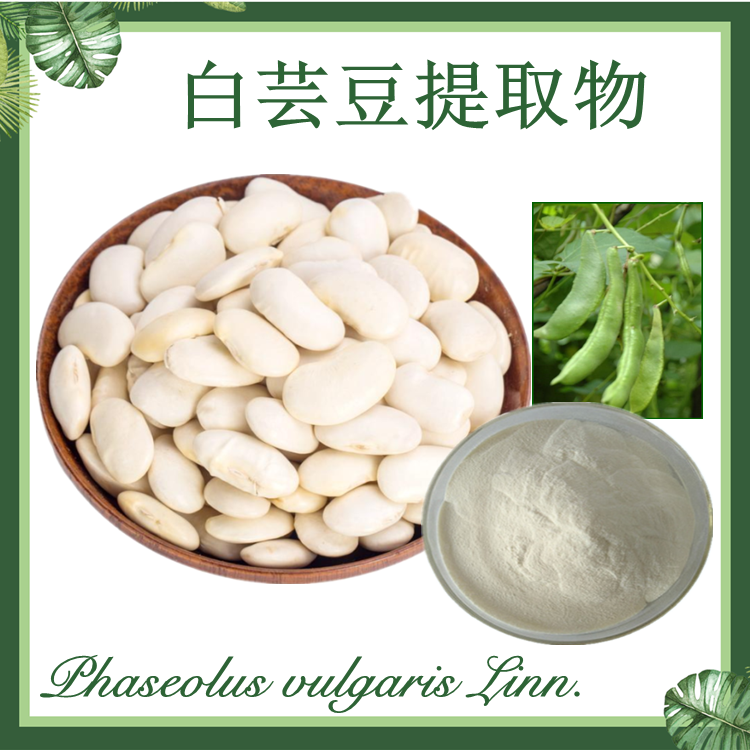白芸豆提取物 10:1 菜豆提取物