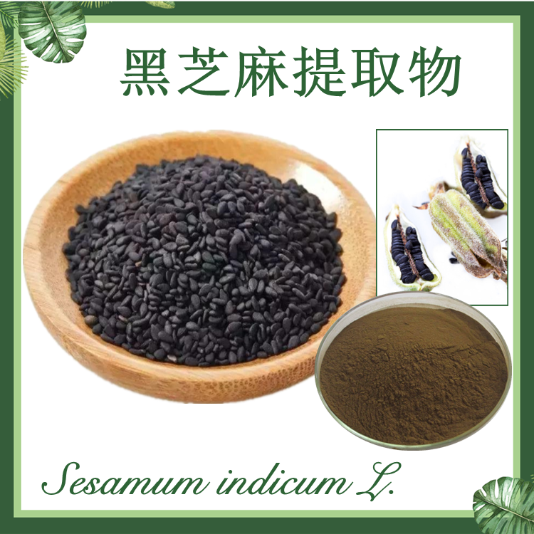 黑芝麻提取物  10:1 油麻提取物 脂麻提取物