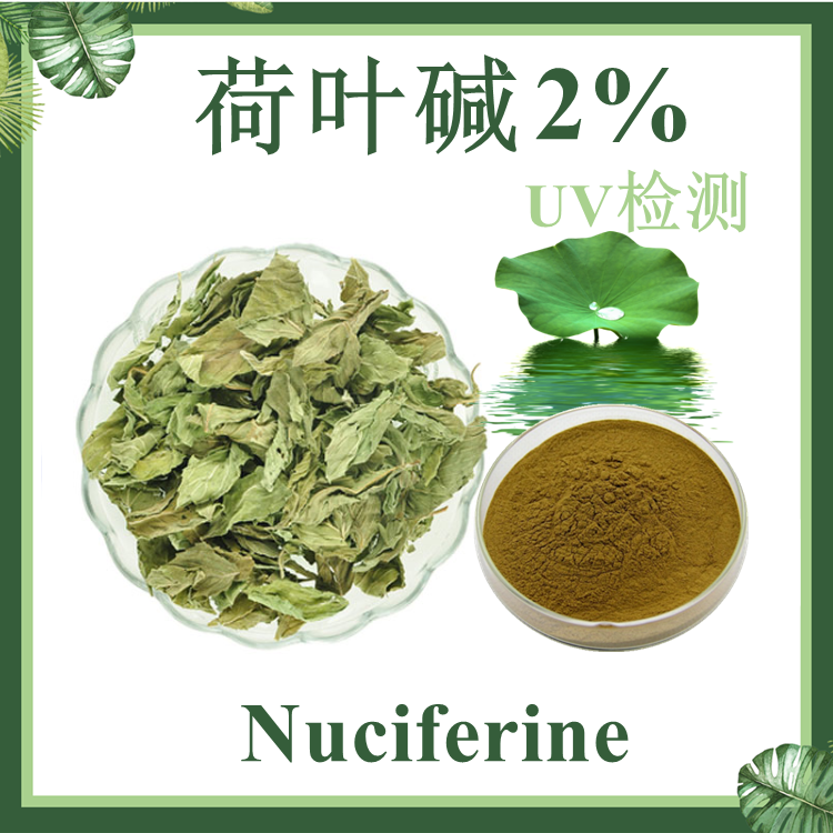 荷叶碱 2%~10% UV检测 荷叶提取物