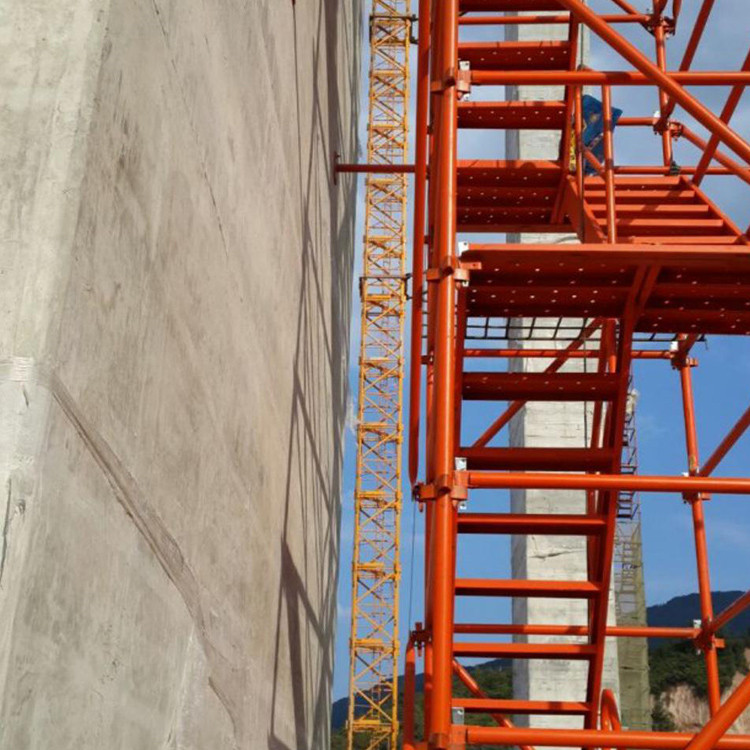 利科建筑供应 挂网式安全爬梯 桥梁墩柱施工安全爬梯 建筑承插式安全爬梯 来电订购