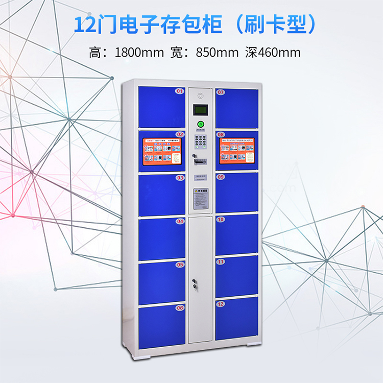 12门电子存包柜 存包柜批发 智能存包柜 微信寄存柜 自助储物柜