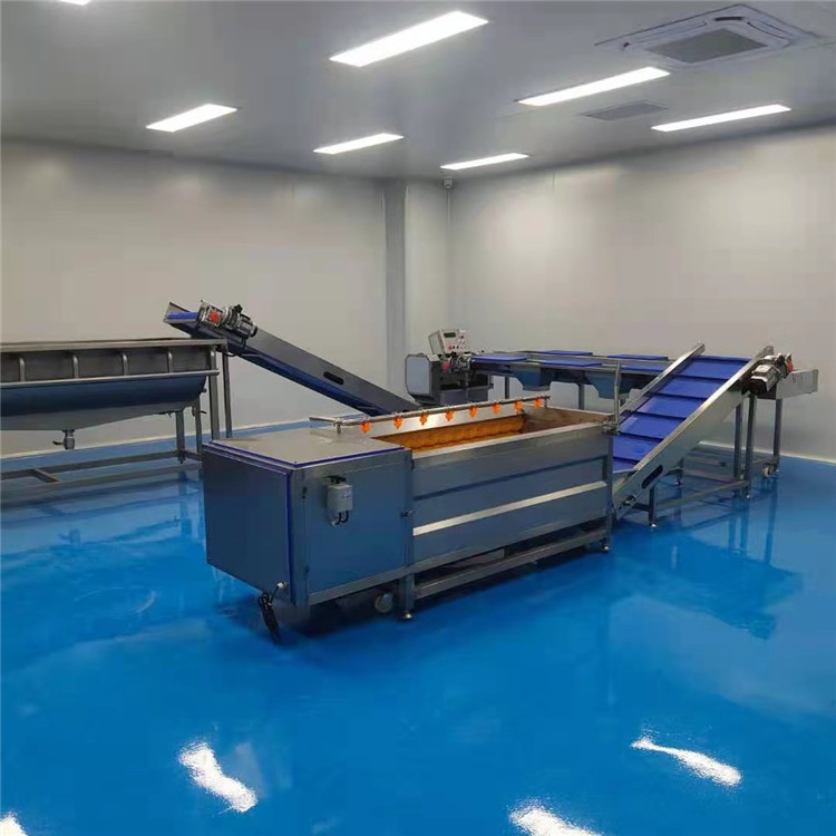 鲜牛蒡清洗机械 商用化牛蒡去泥清洗 翻滚式毛滚清洗机
