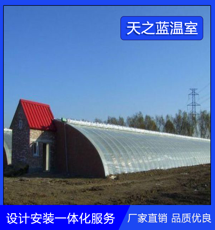 天之蓝  草莓种植暖棚   农业蔬菜大棚造价