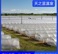 天之蓝   现代化单拱温室大棚  经济实惠冷棚育苗