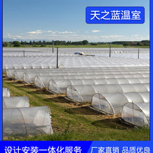 天之蓝   现代化单拱温室大棚  经济实惠冷棚育苗