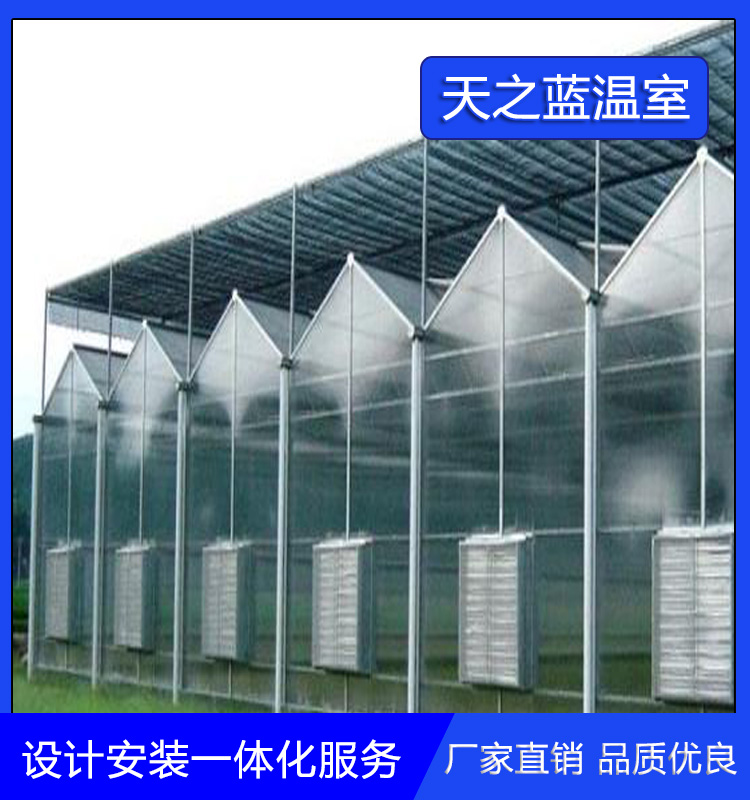 阳光板温室大棚 智能日光温室 pc连栋温室   天之蓝