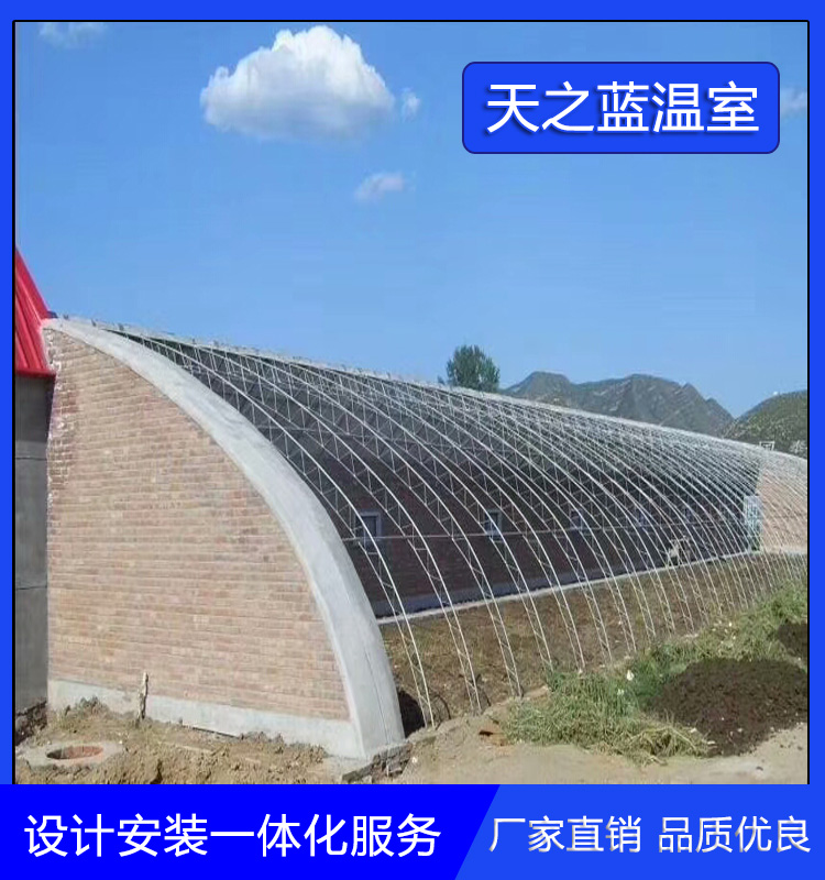 日光温室  蔬菜种植日光大棚  日光温室工程   天之蓝温室