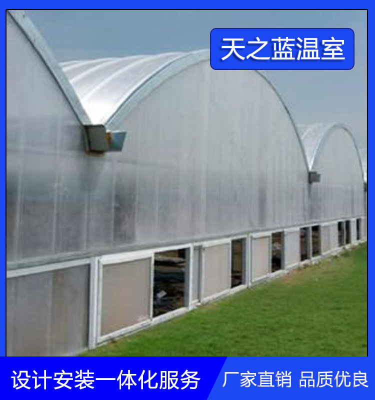 阳光板温室 多采用一跨多顶 阳光板温室报价  天之蓝温室