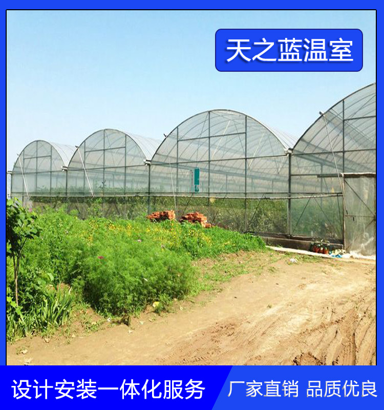 天之蓝    小型薄膜温室 高品质定制 农业花卉种植温室