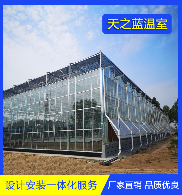 天之蓝  有机农业种植玻璃连栋温室  培育多种品种