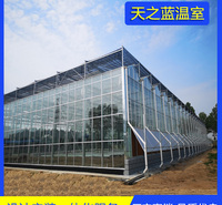 天之蓝  智能连栋玻璃温室大棚建造 计算机电子控制系统