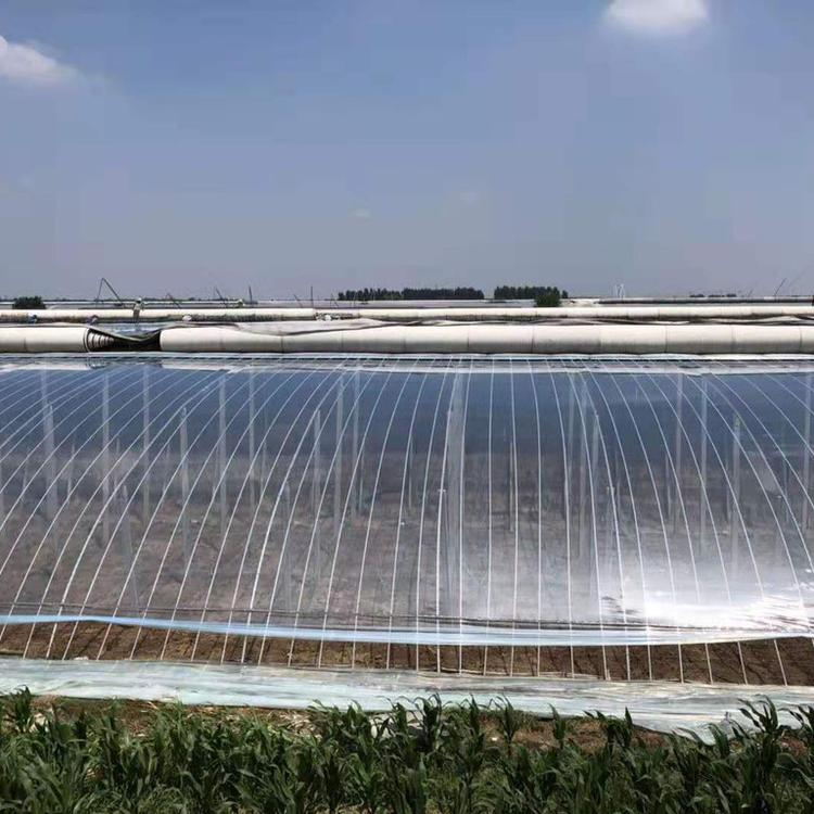 恒冠塑料出售大棚膜 EVA流滴消雾膜定制 透光好