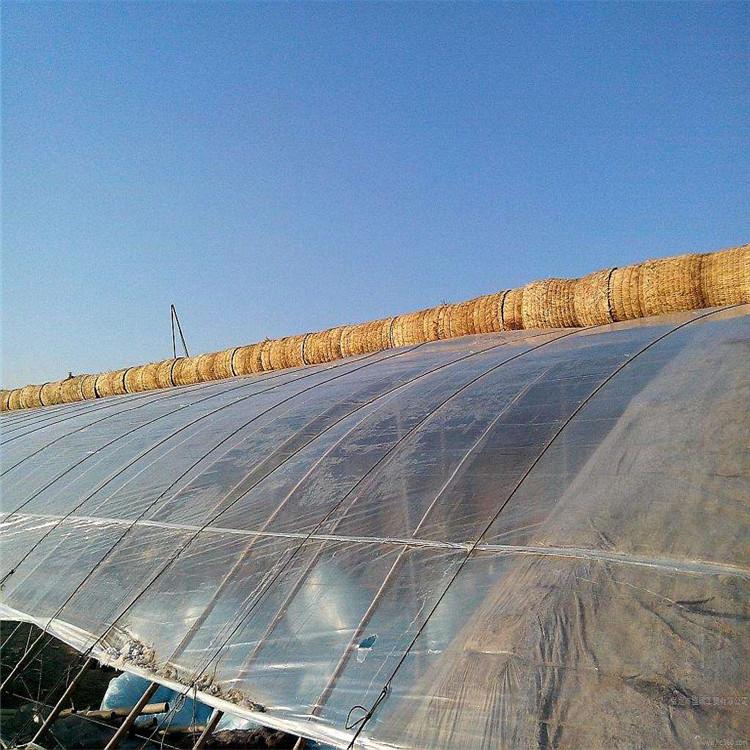 恒冠供应 EVA流滴消雾膜供应商 欢迎致电