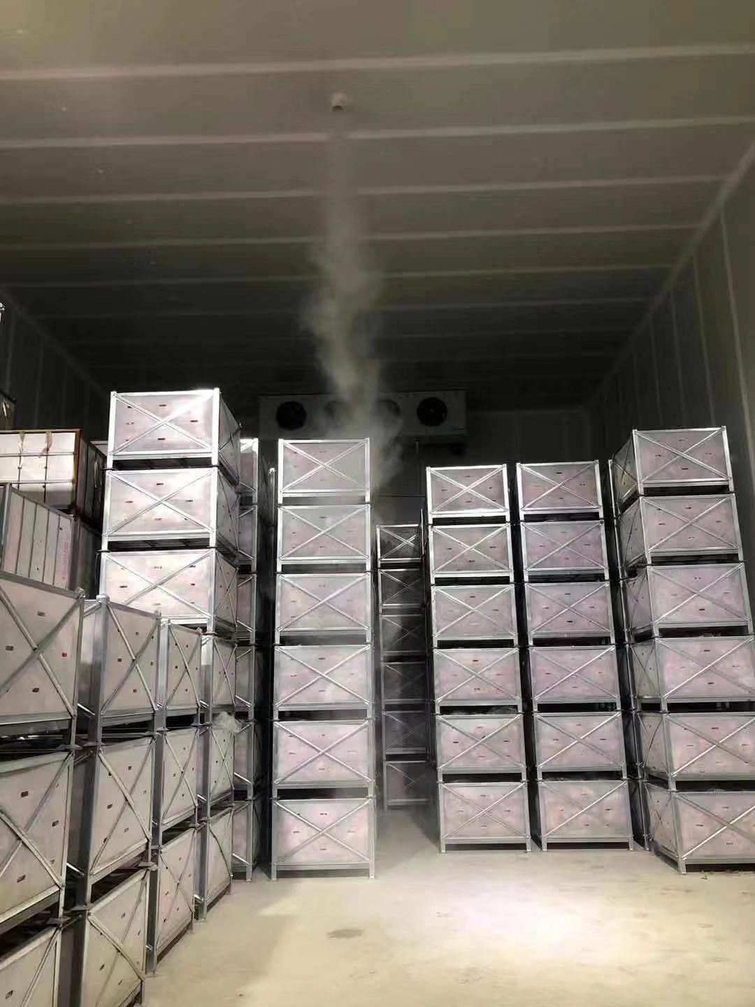 急速锁鲜冷库安装 保鲜储存冷库 冷藏冷库专业定制安装