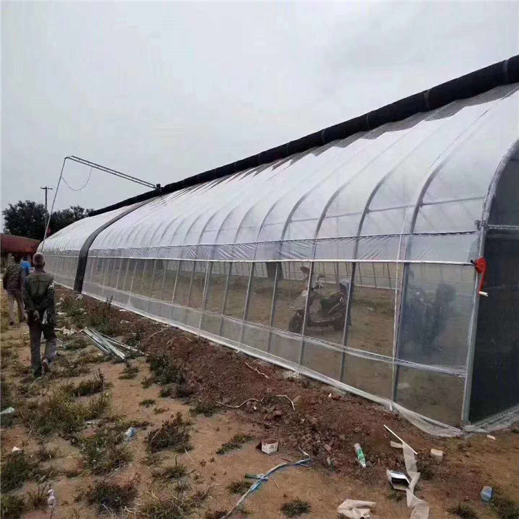 薄膜塑料温室大棚 薄膜温室 可定制 西瓜种植薄膜温室