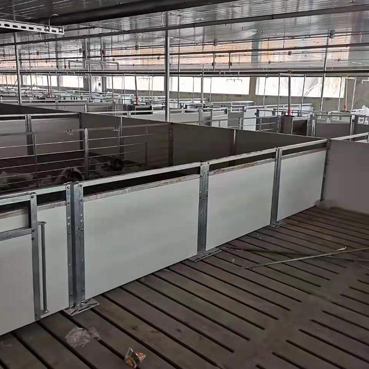 水泥母猪漏粪篦子 猪产床水泥漏粪板 养殖场水泥漏粪板 欢迎来电咨询