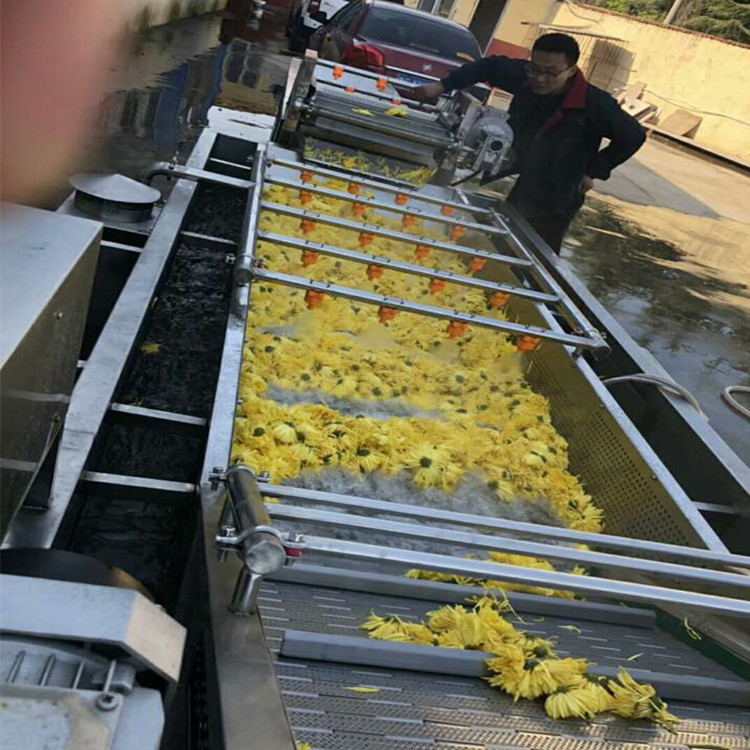 全自动果蔬气泡清洗机生产厂家  操作简单  净菜加工成套设备