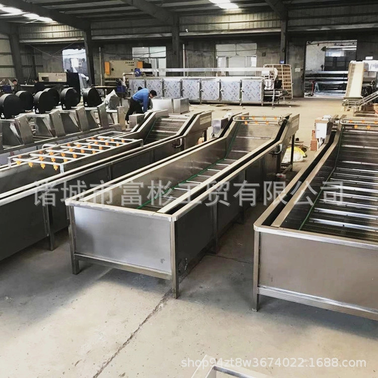 全自动果蔬气泡清洗机生产厂家  按需求定制  蔬菜喷淋式清洗设备