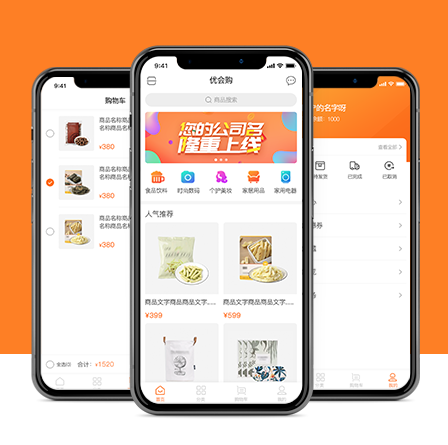 微商团队管理系统开发