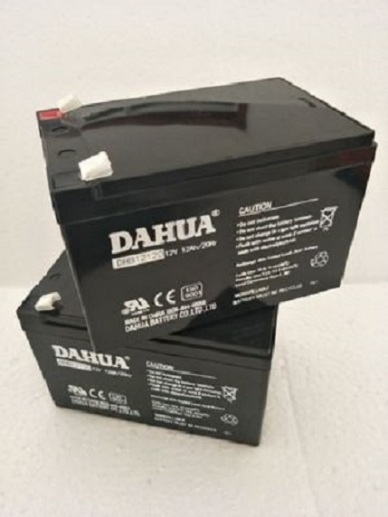 DAHUA大华蓄电池DHB12120 12V12Ah 厂家直销 铅酸免维护 现货包邮