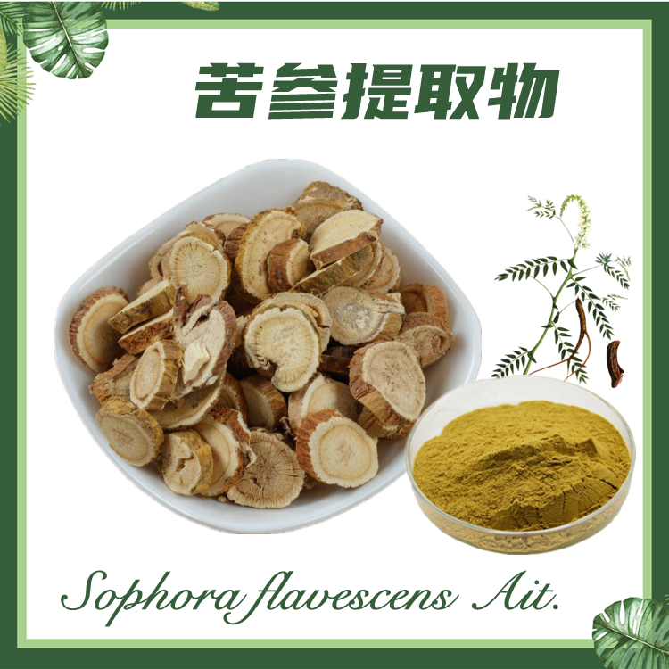 现货供应：苦参提取物  10:1  山槐子提取物