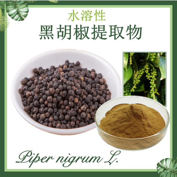 全水溶性 黑胡椒提取物 10:1 黑胡椒粉
