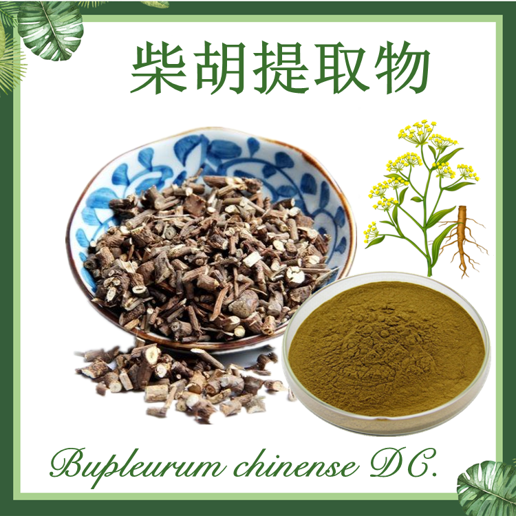 现货供应：柴胡提取物 10:1 Radix Bupleuri Extract