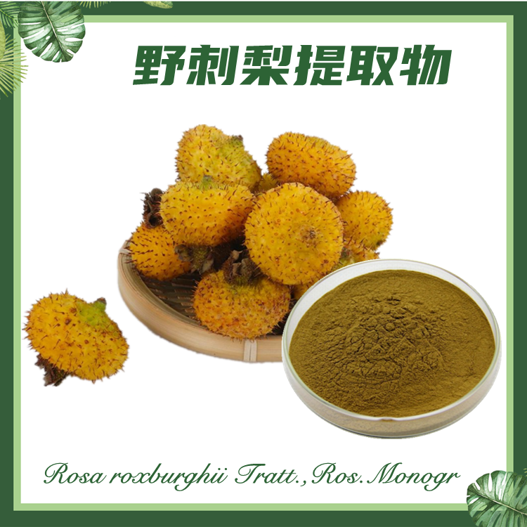 供应：野刺梨提取物 10:1  刺梨提取物