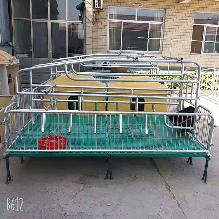 厂家生产母猪产床仔猪分娩床支持定制养猪场用大猪用定为栏价格优惠