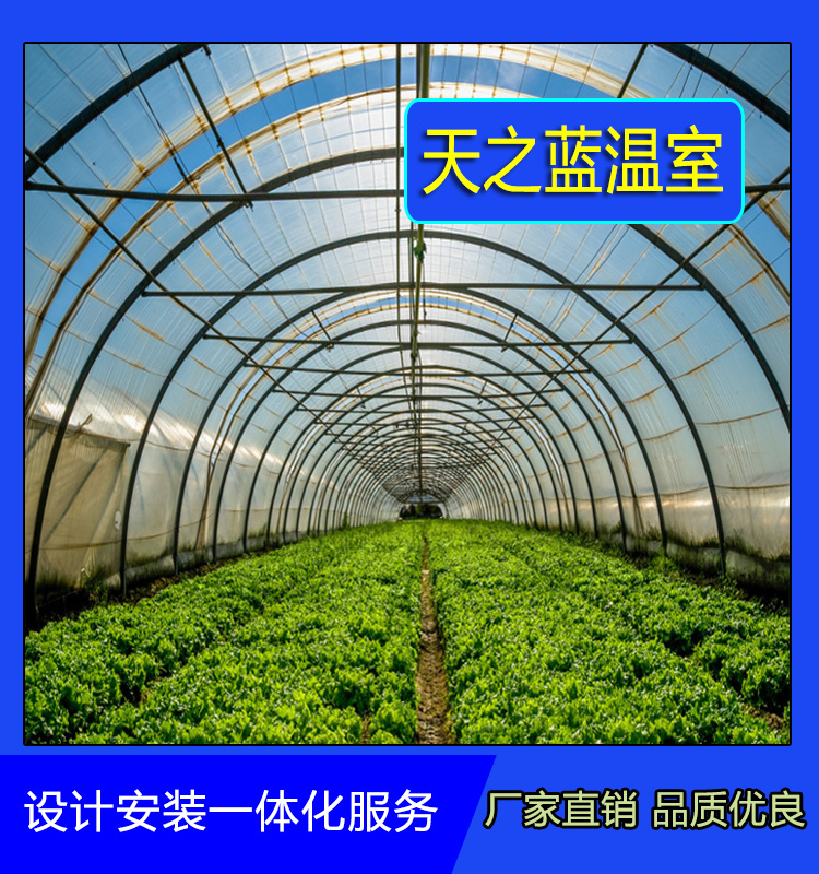 承建单拱温室  单拱薄膜温室建造公司