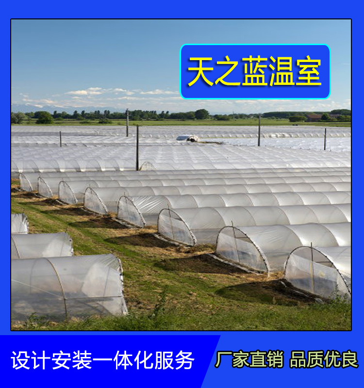 单体拱棚 食用菌大棚   天之蓝温室大棚   