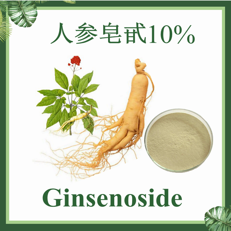 人参皂甙10% 水溶性人参提取物 现货供应 人参皂苷