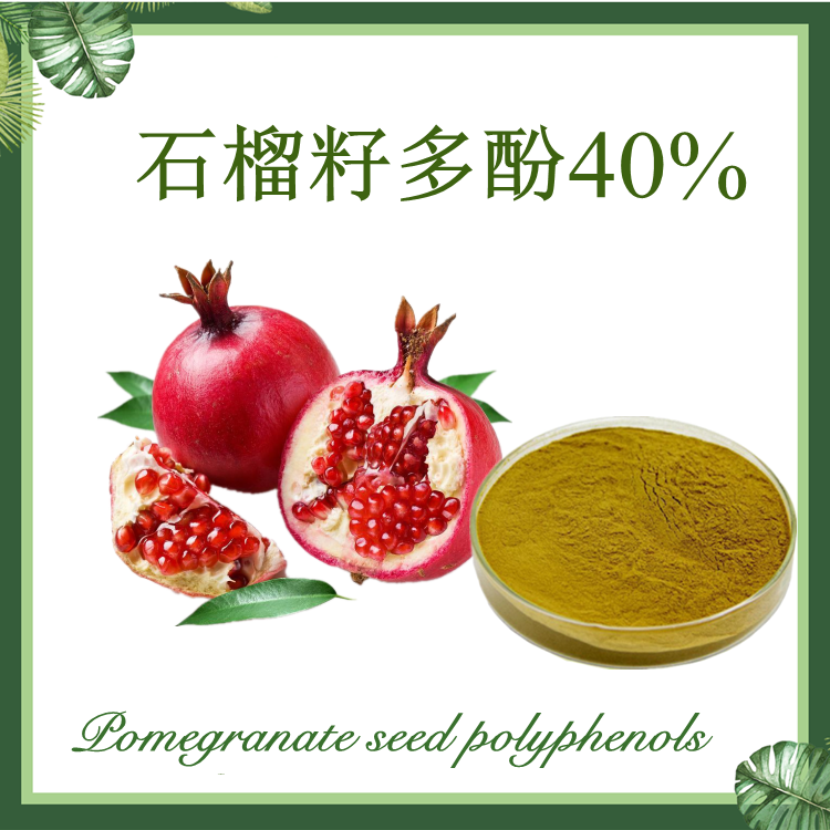 石榴籽提取物 石榴籽多酚40% 石榴提取物